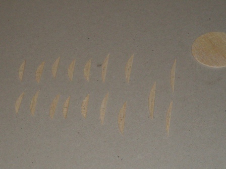 P2230441.JPG