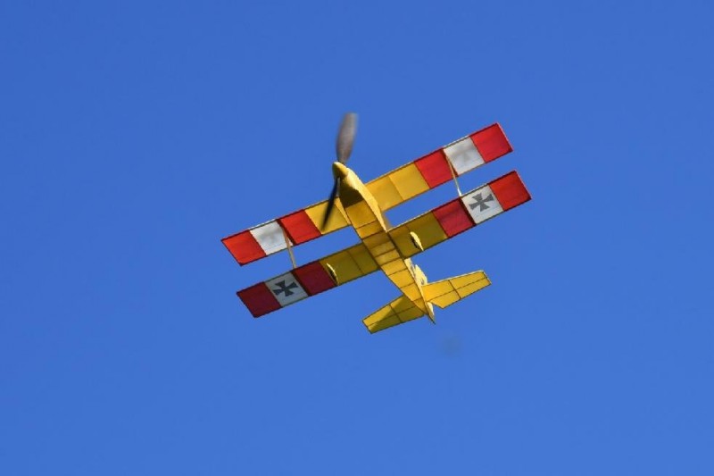Looser Flyer.jpg