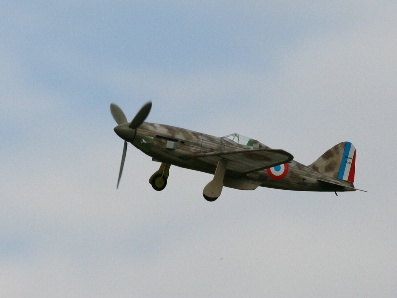  Foto: Ruja, 2008 (c)