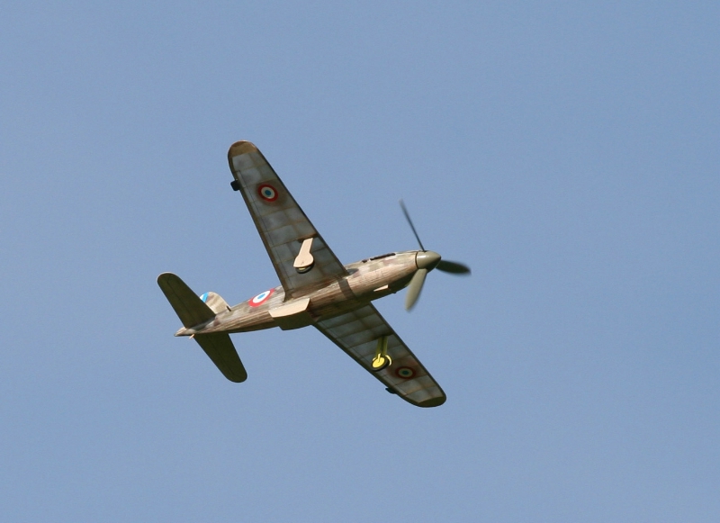  Foto: Ruja, 2008 (c)