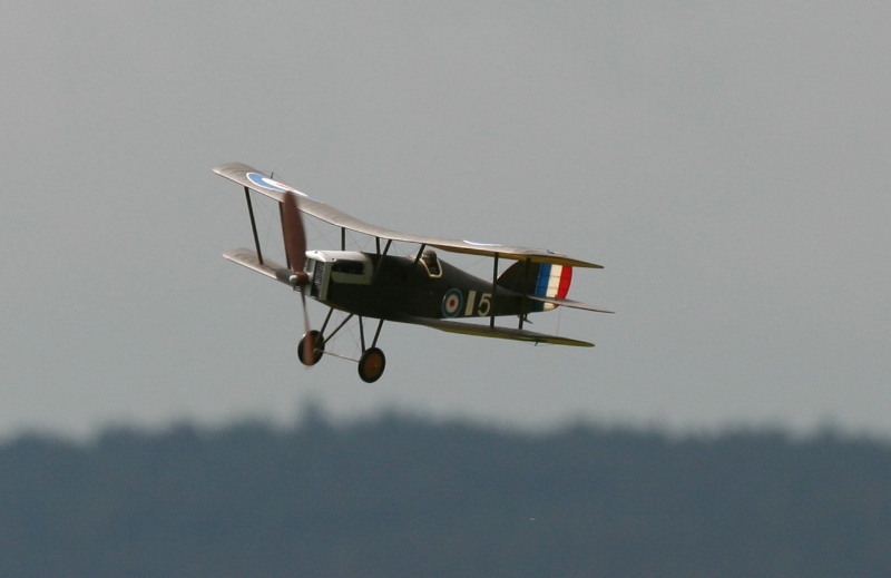  Foto: Ruja, 2008 (c)