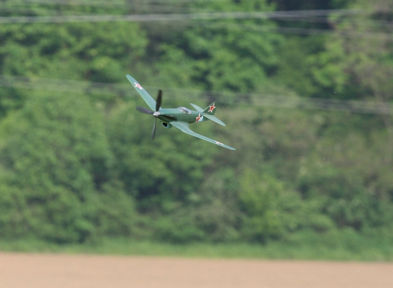  Foto: Ruja, 2008 (c)