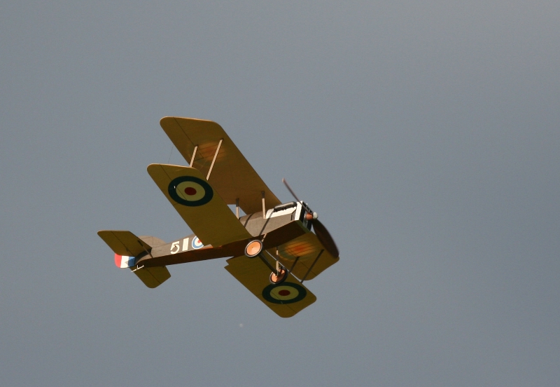  Foto: Ruja, 2008 (c)