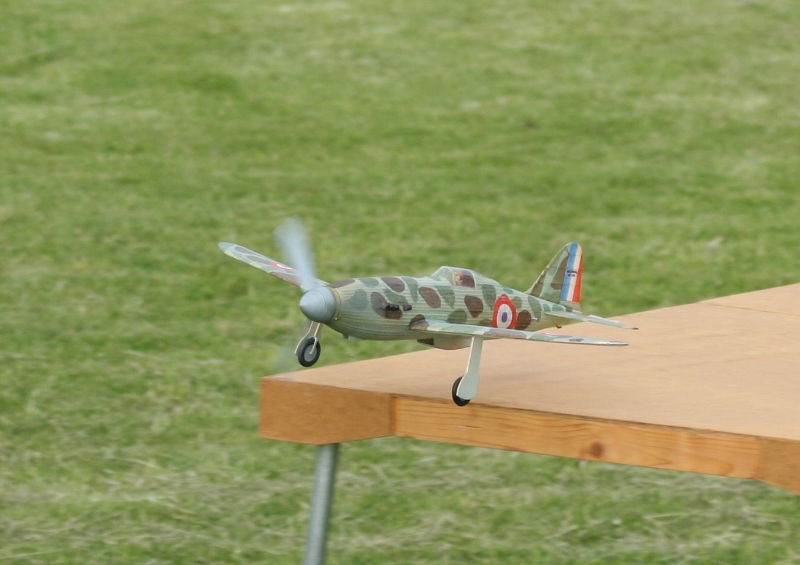  Foto: Ruja, 2008 (c)