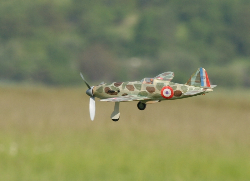  Foto: Ruja, 2008 (c)