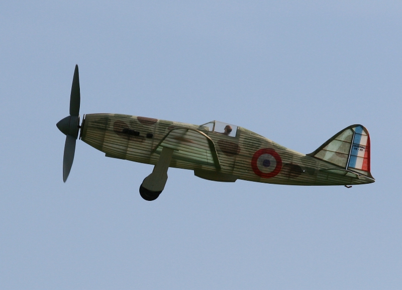  Foto: Ruja, 2008 (c)