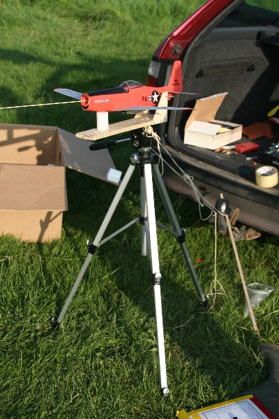  Foto: Ruja, 2008 (c)