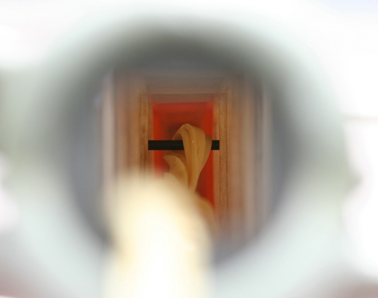  Foto: Ruja, 2008 (c)