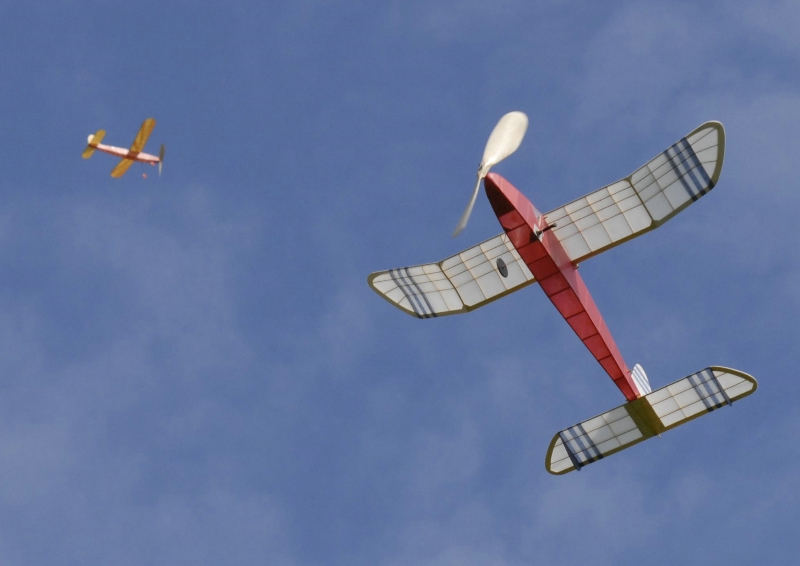  Foto: Petr Pokorný, 2008 (c)