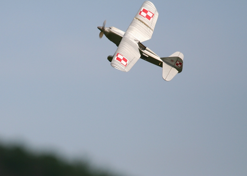  Foto: Ruja, 2008 (c)