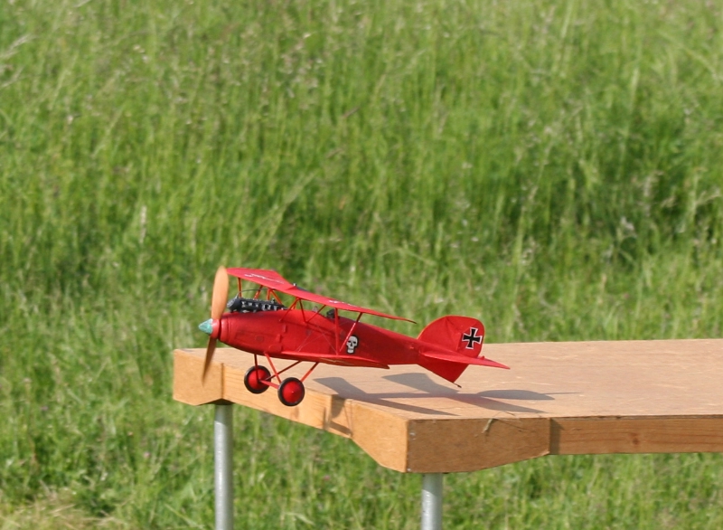  Foto: Ruja, 2008 (c)