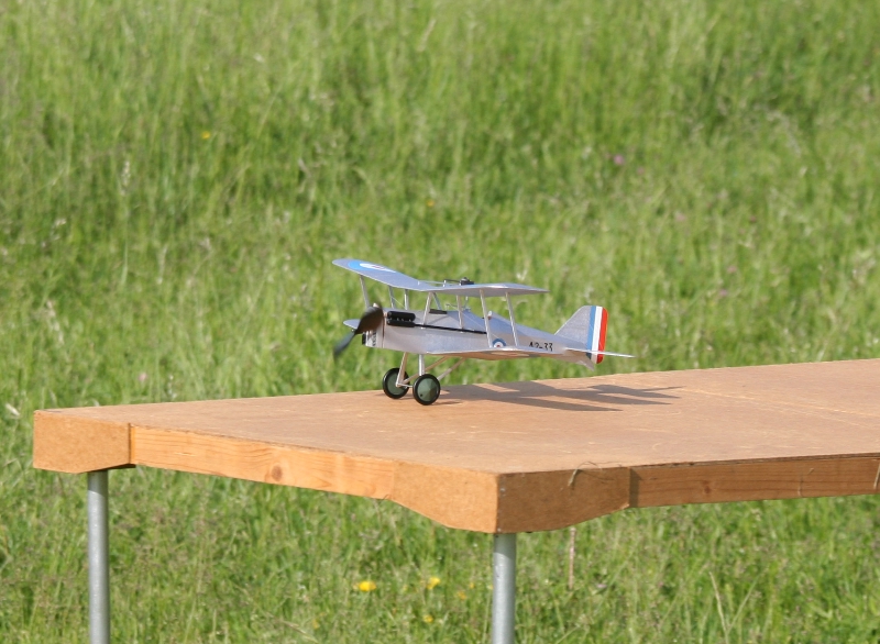  Foto: Ruja, 2008 (c)