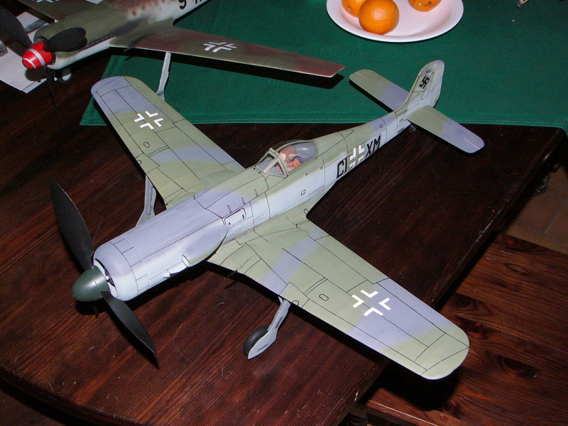  Foto: Felda, 2008 (c)