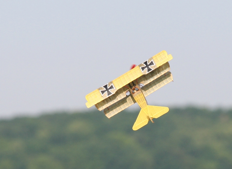  Foto: Ruja, 2008 (c)