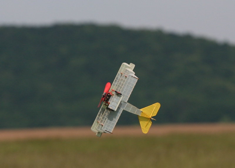  Foto: Ruja, 2008 (c)