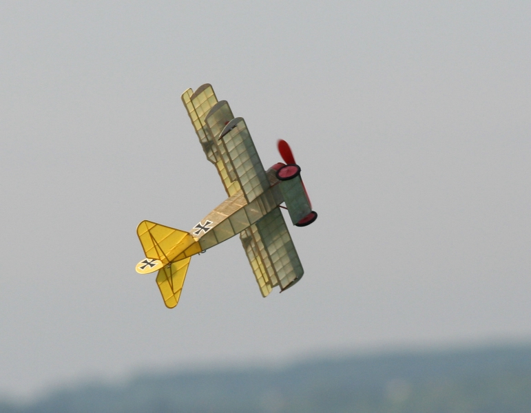  Foto: Ruja, 2008 (c)