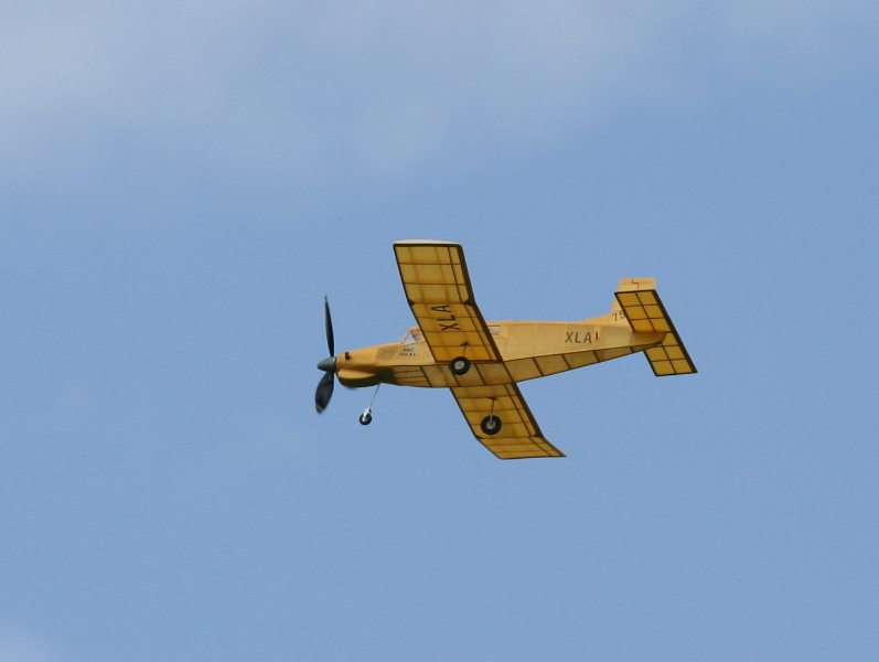  Foto: Ruja, 2008 (c)