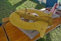 Annular Monoplane No 3 Petra Faitla