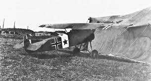 D-VIII barvy křídla.jpg