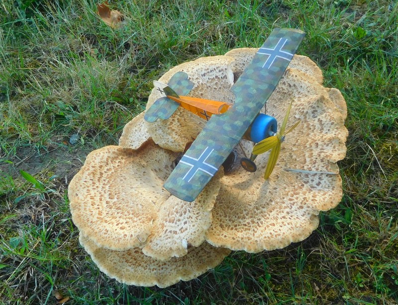 DSCN5618.JPG