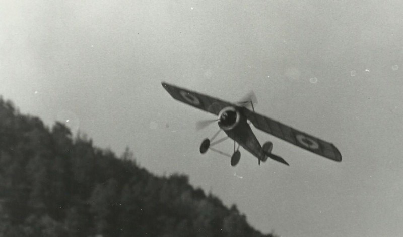 Čerešňákova SWALLOW.jpg