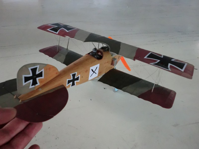 Albatros-Hugo.JPG