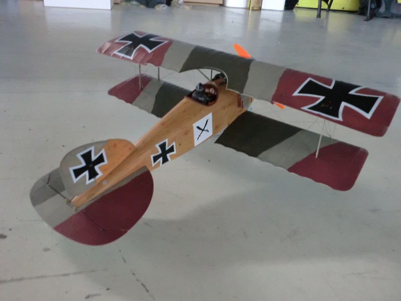 Albatros2.JPG