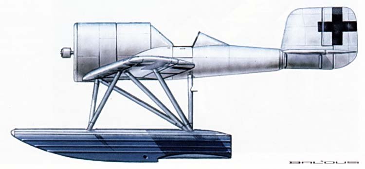 lfgv19-c1.jpg