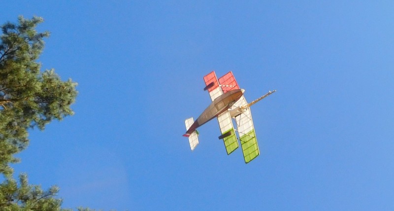 U borovice.JPG
