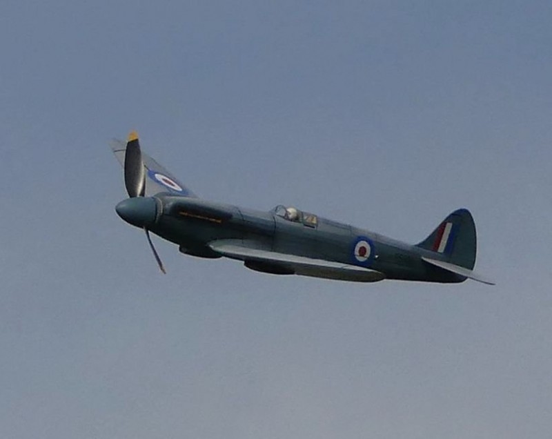 P1220265~2.jpg