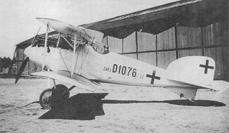 Alb D-ii Zak.jpg