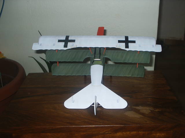 S2010005.JPG