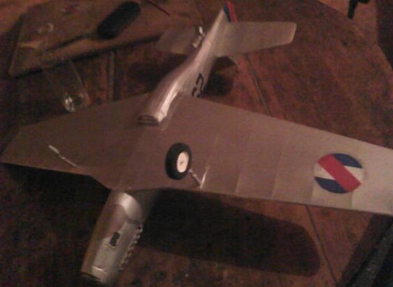 mustang FAU F51D 252 004.JPG