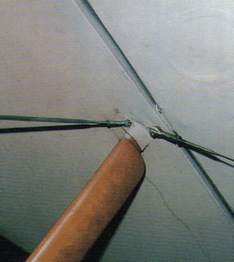 img257.jpg