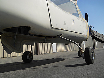 Super_Stallion_sml-4.jpg