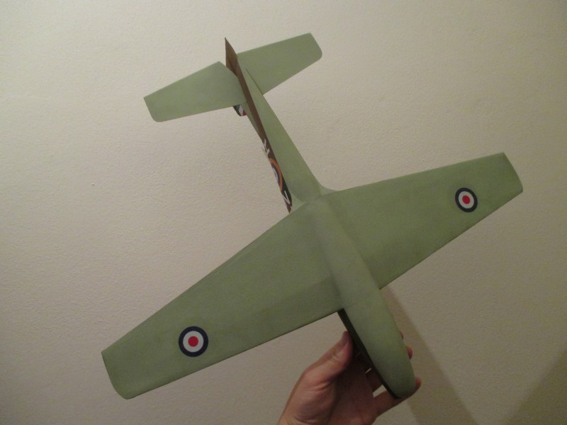 Tucano_skoro2.JPG