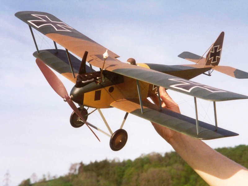 Halberstadt_ D_II_Felda_1.jpg