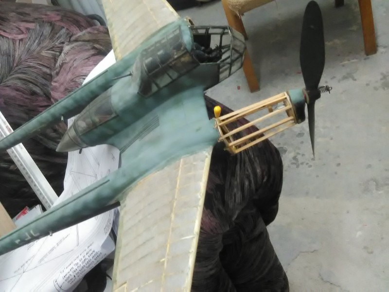IMG_20201012_175912.jpg