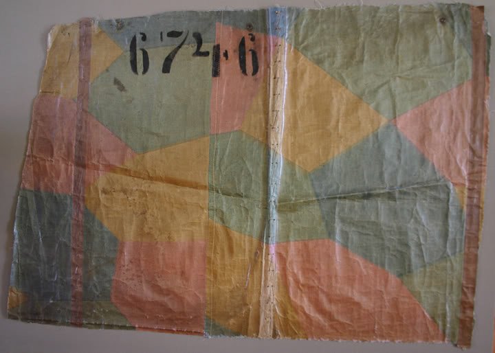 2Fokker_DVII_6746_undersurface_lozenge_fabric_2.jpg