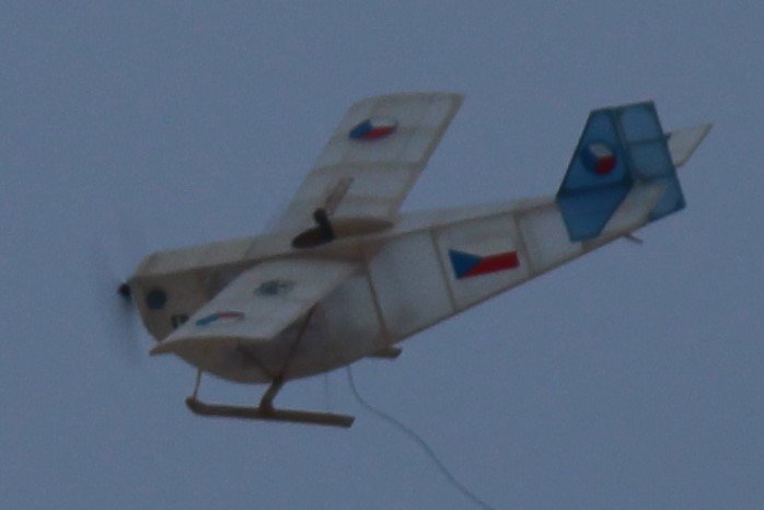 zahrádka a Bimbo 20210215 009 (2).JPG